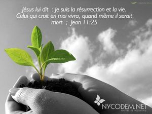 POUR UNE ESPÉRANCE VIVANTE, PAR LA RÉSURRECTION DE JÉSUS-CHRIST D'ENTRE LES MORTS 