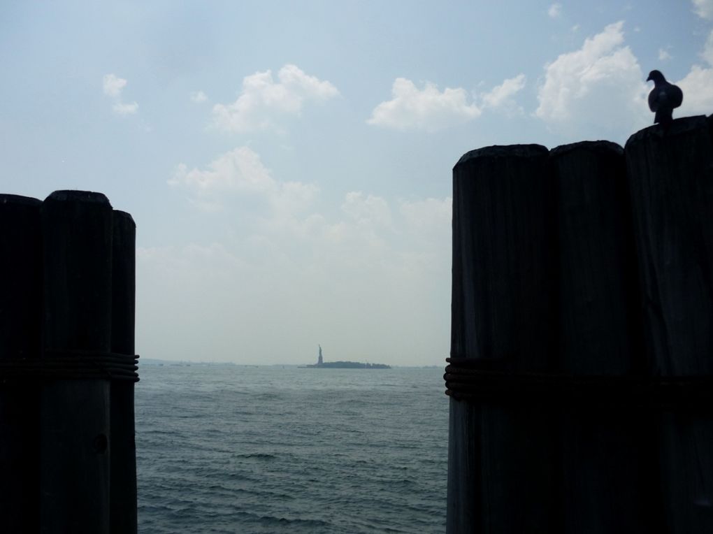 Album - New York (1)