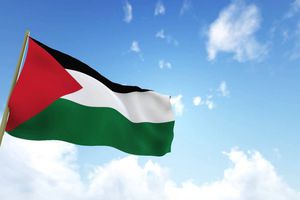 Procédure devant la Cour Internationale de Justice – État de Palestine contre États-Unis d’Amérique​​​​​​​ 15 octobre 2018