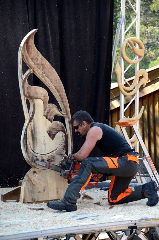 FESTA DAU BOSC A LA MARTRE (FETE DU BOIS)