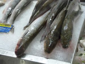 le marché aux poissons, les menus pour la tradtionnelle soupe goûtée lors du marché, le marché couvent 