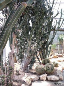 Greenhouses of Jardin Botanique du Montet