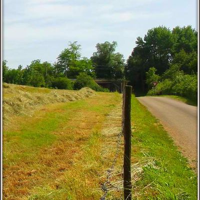 Sentier de campagne - Evans - Jura 