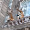 Une girafe au balcon!