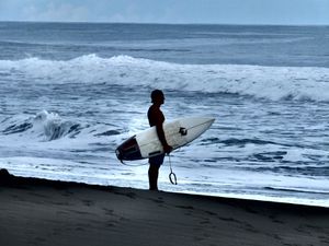 COSTA RICA (5 au 20 mai 2014)