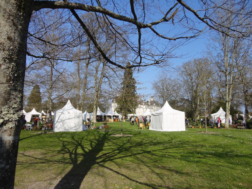 Album - Fête des plantes à Cheverny 24-03-2012