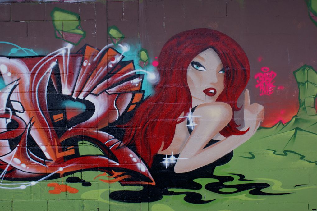 Album - Graffitis-Vitry-sur-Seine-tom-006