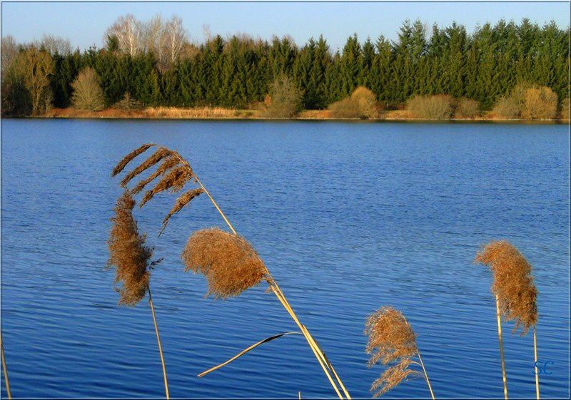 Quelques photos avec de l'eau... (d'autres photos se trouvent se trouvent dans d'autres album)