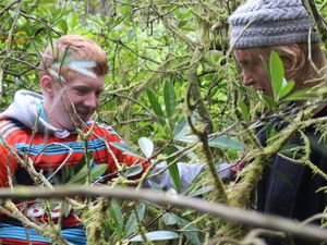 On devait nettoyer la forêt du RHODODENDRON car c'est une plante invasive qui empêche les autres variétés de pousser.