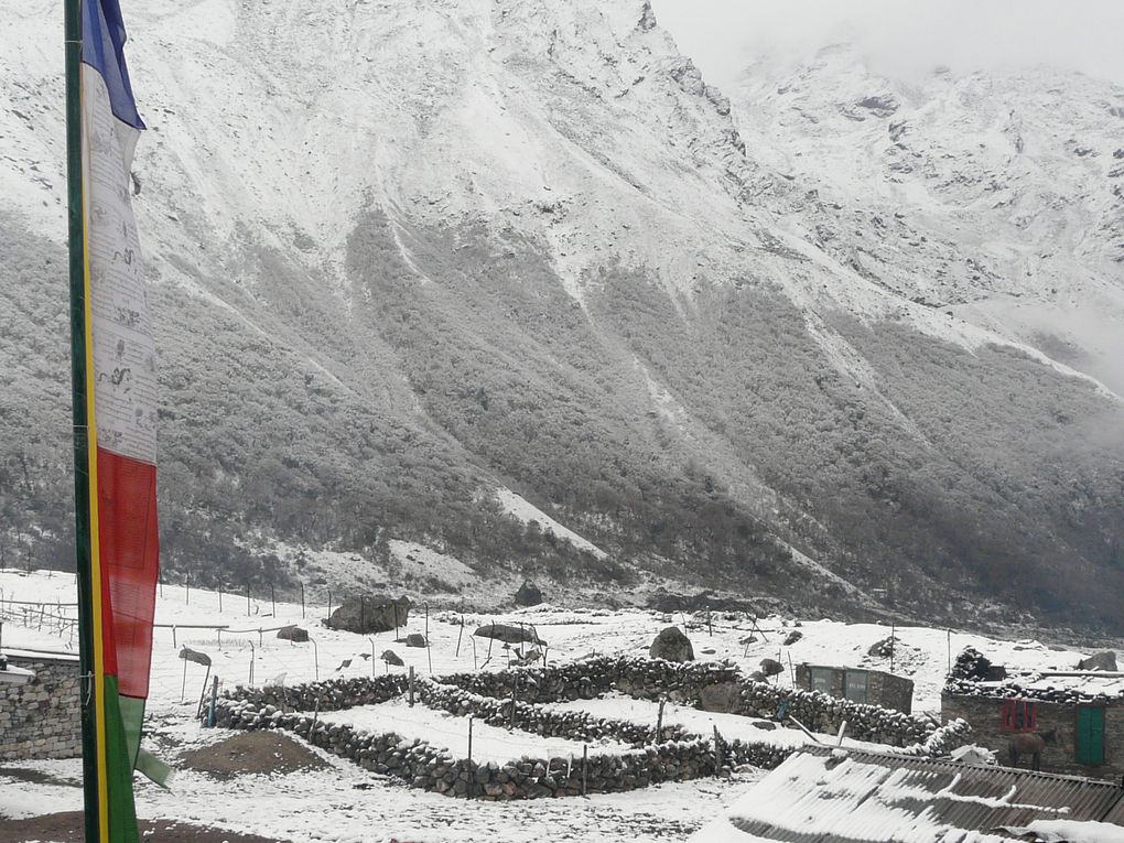 Trek dans le Lang-Tang, après le beau temps, la tempête de neige nous empêchera d'arriver en haut du glacier ...