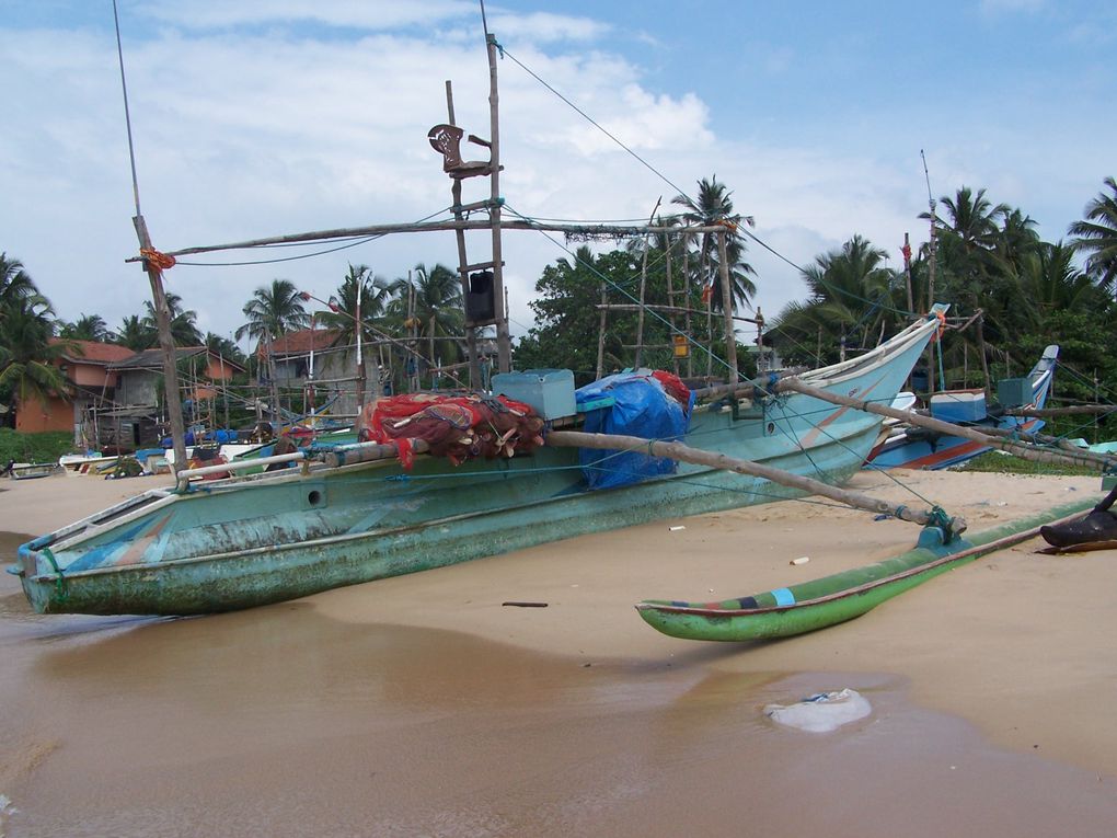 Kosgoda et Ambalangoda