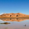 Camel trek for overnight in sahara desert