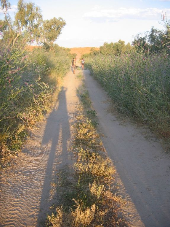 Simpson-Desert