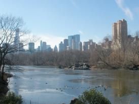 NEW YORK - Manhattan - Brooklyn - Central Park ... 