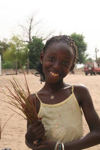 Album - Sine-Saloum-Senegal