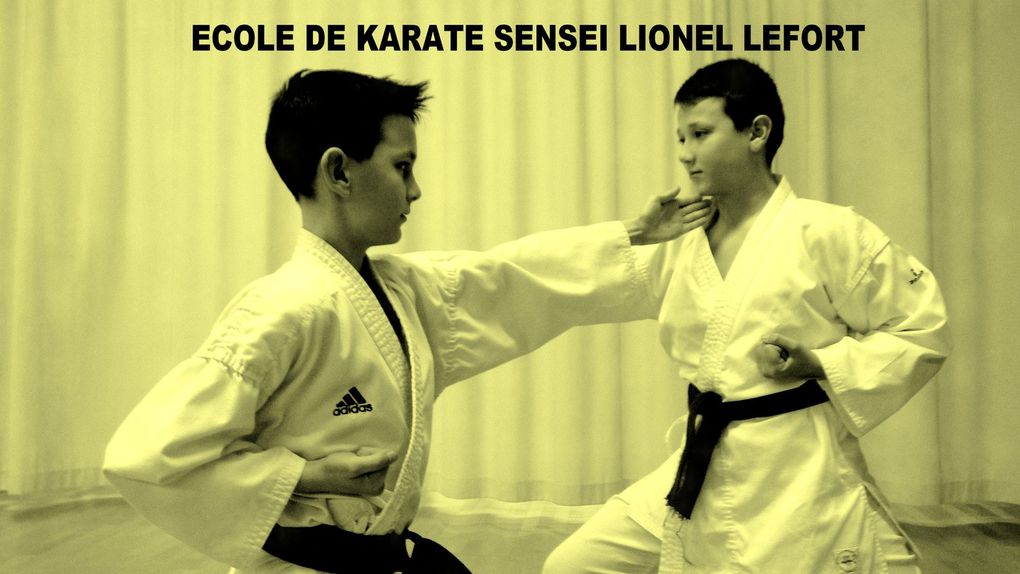 SENSEI LIONEL LEFORT - ECOLE DE LA VIE 