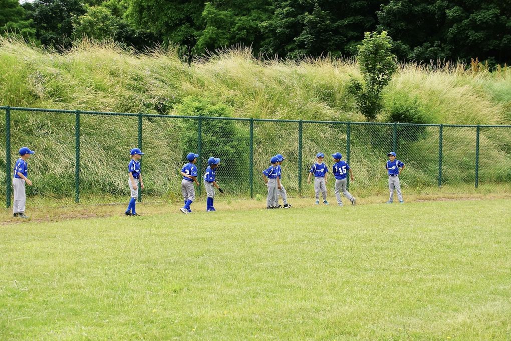 U9 - Tigers vs Cougars et French Cubs