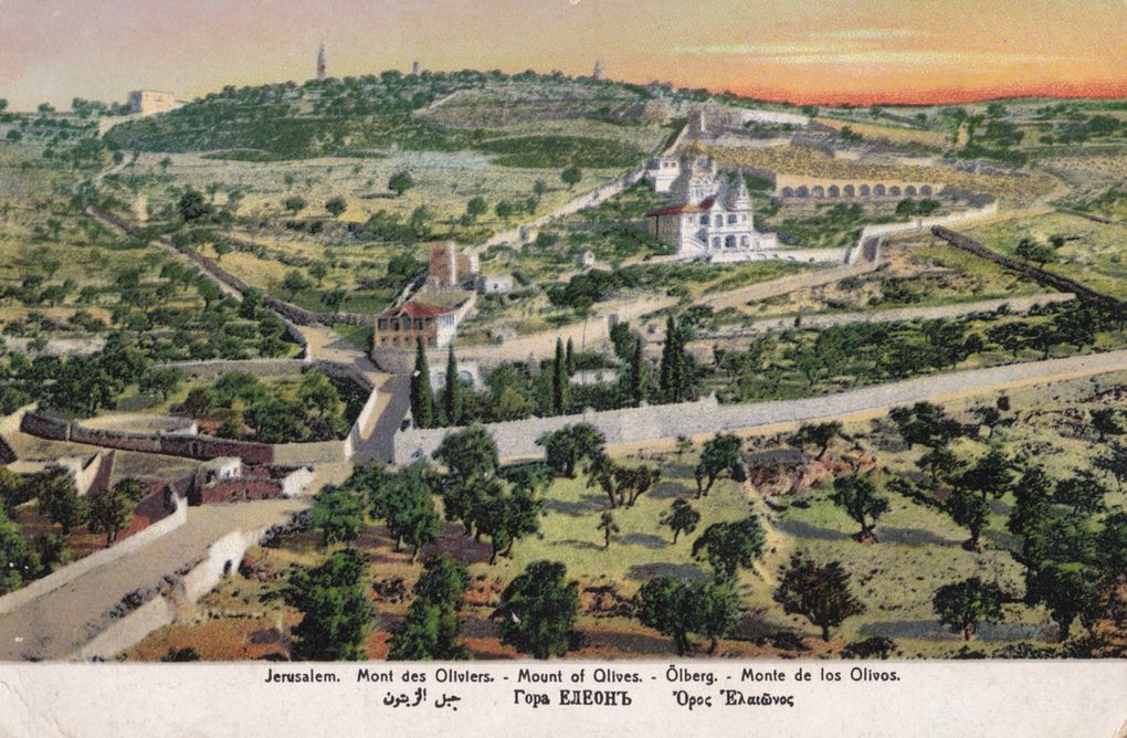 Gethsémani et le Mont des Oliviers