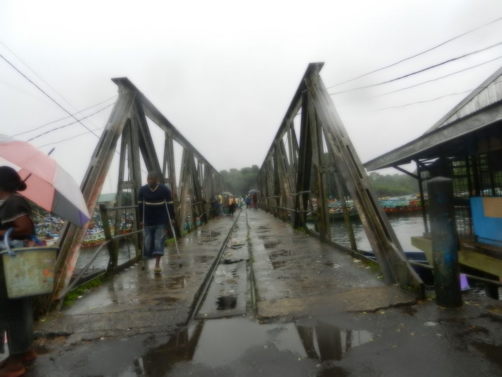 Limbé et ses plages, son parc botanique, son centre de la faune, son activité. Buea base pour le Mont Cameroun et le pont M'Fundi base pour le Nigeria