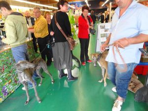 Nos Amis à notre rencontre : Isabelle, Brigitte et Christian, Françoise, ... et toutes les personnes qui se sont arrêtées pour s'intéresser à l'histoire des galgos