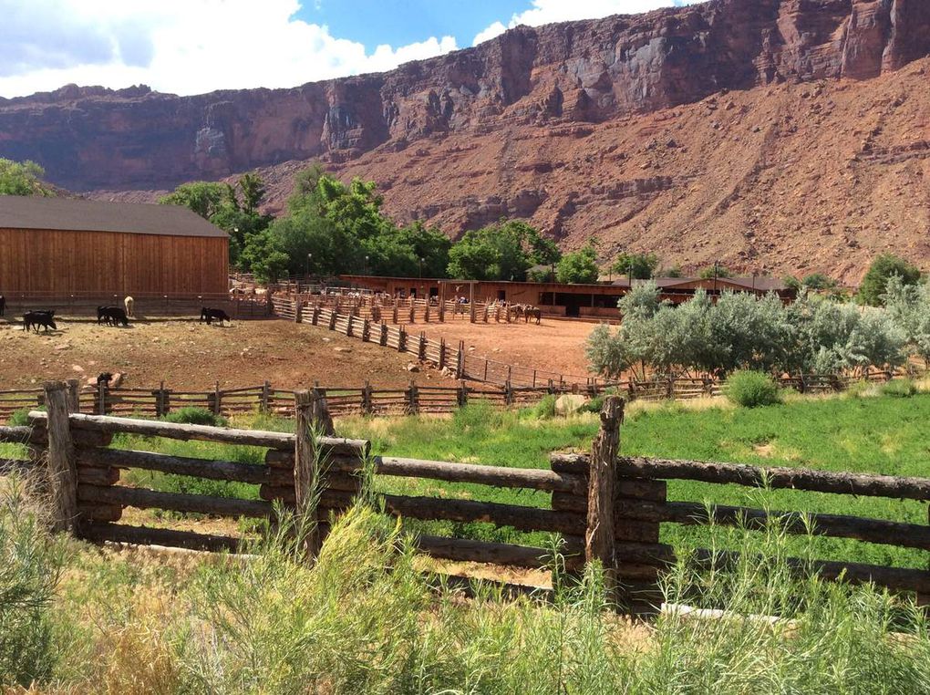 De Kanab à Green River * Utah