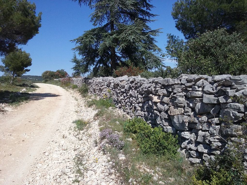 Balade dans le Vaucluse