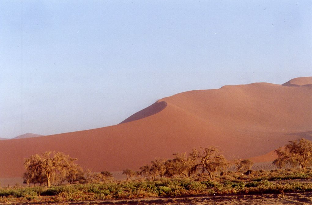Album - Namibie - Sept 2010