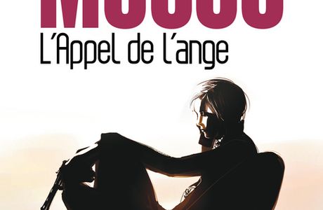 Chronique L'Appel de l'ange