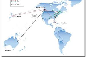 Sobre el consumo de drogas en EUA y efectos sobre México y Canadá.