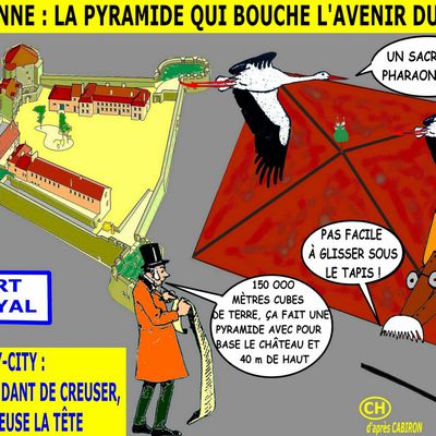 AUXONNE : LE MARRONNIER DU PORT REFLEURIT DANS LA PQL (1) - du 15 mars 2024 (J+5566 après le vote négatif fondateur)