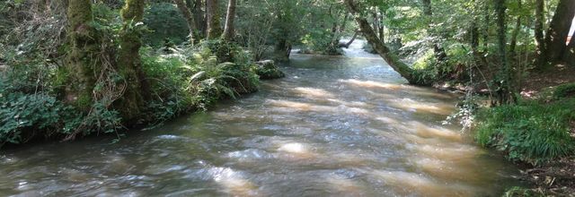 Le lac de Chaumeçon, le "petit Canada" du Morvan