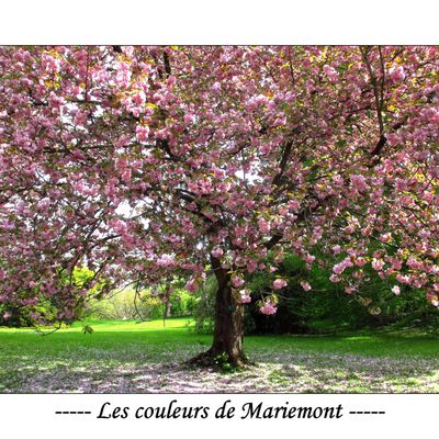 Les couleurs de Mariemont