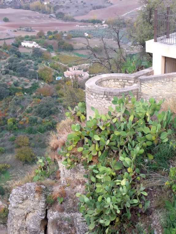 [Fin Novembre]
Deux belges et deux françaises 3 jours sur les routes d'Andalousie pour découvrir 5 villes phares de la communauté autonome, et pourtant bien différentes: Ronda, Gibraltar, Cadiz, Jerez, Cordoue. Suivez le guide!