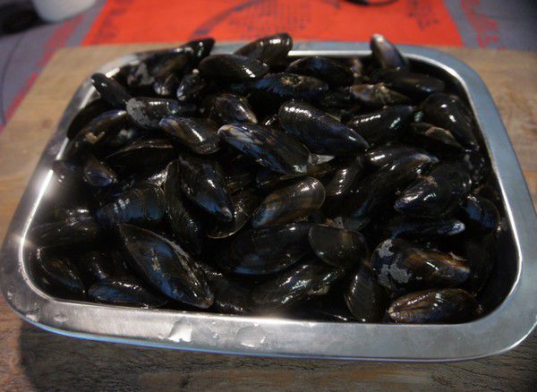 Moules fraiches lavées