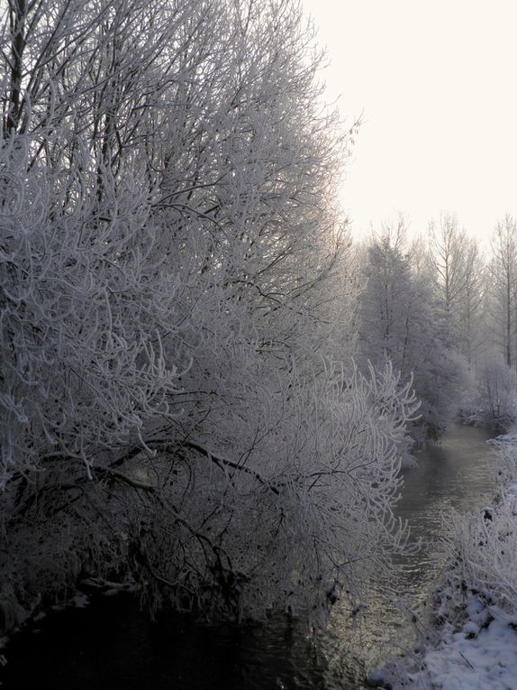 Promenade à Braives, dans des paysages d'hiver.
Fotos of Belgium in winter.