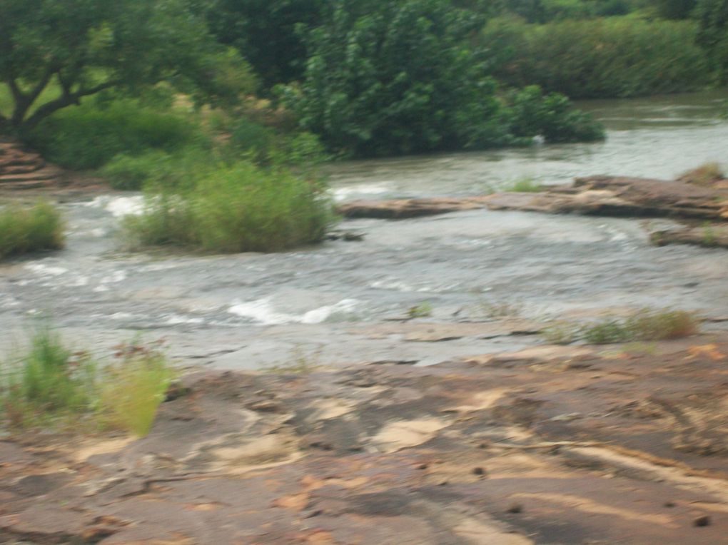 Découverte de la région de l'Est, tout près des frontières nigérienne et béninoise et presque au coeur des parc de l'Arly et du W...