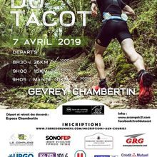 Trail du Tacot à Gevrey Chambertin