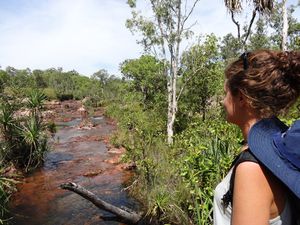 Australie -Episode 1- Nos premiers pas au pays des kangourous…De Darwin au Litchfield National Park. 
