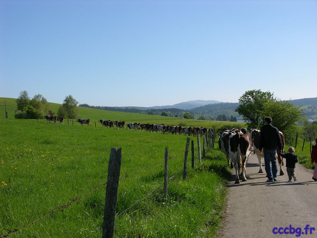 Aire de camping-car de Saint-Point-lac, Camping-car-club-Beauce-Gâtinais