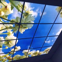 Polycarbonate Sheets & Stretch Ceilings - Your Shortcut To A Beautiful & Functional Home 
