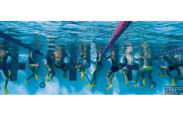 Finis - Palmes Zoomers Gold Finis