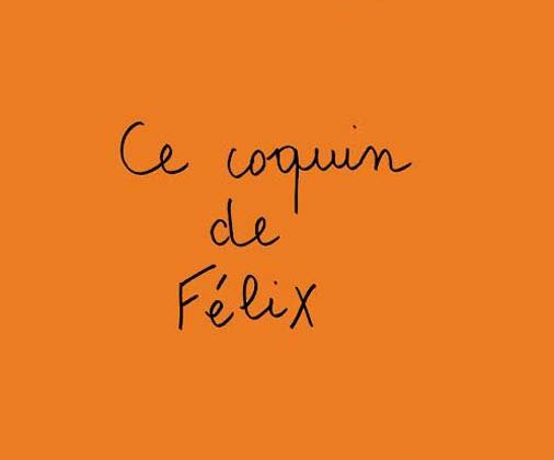 Mickaël Auffray CE COQUIN DE FELIX Nouvelles / LITTERATURE 