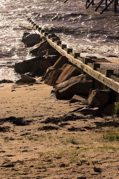 Sentier de douanier en Pays de Retz - Photos Thierry Weber Photographe La Baule Guérande