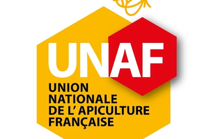 Point d'information UNAF