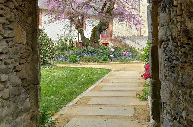 Arbre de judée aux Herbiers