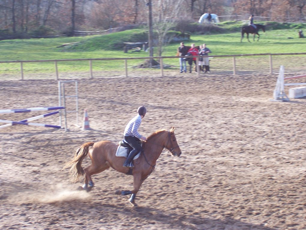 Divers concours fais par nos cavaliers.