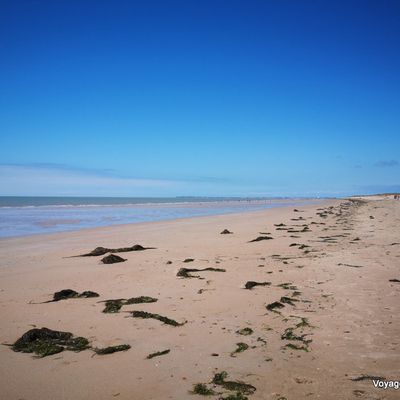 La Plage de la Bergère (85)