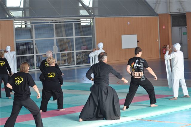 Lors de la dernière fête du club (Juin 2011), la section senior du SVKC en association avec la section Qi Gong et les membres du groupe cascade ont présentés une démonstration artistique de leur travail.