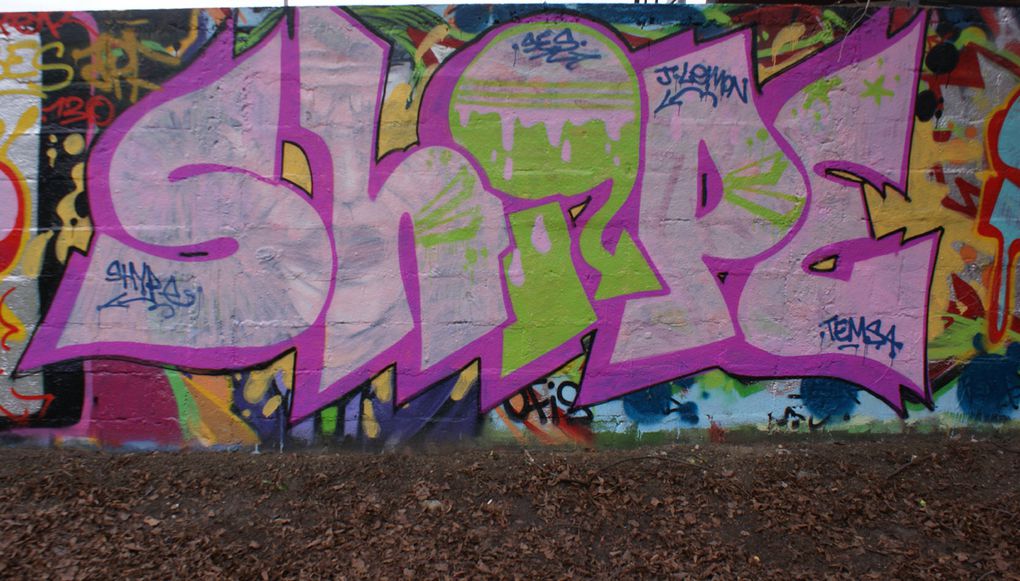 Album - graffitis-Dept-93-Tom-018