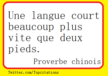 12 Proverbes Italiens Sur L Amour Avec Leur Traduction En Francais Citons Precis Com Citations